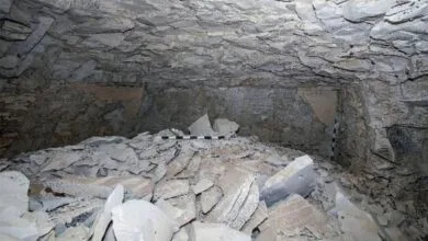 ارتباط فردا