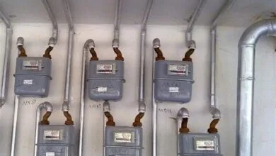 5281322.jpg