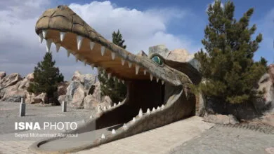 ارتباط فردا