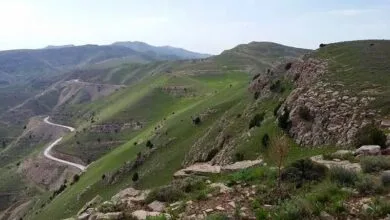 ارتباط فردا