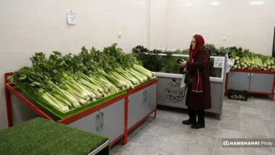 ارتباط فردا