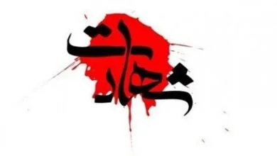 ارتباط فردا