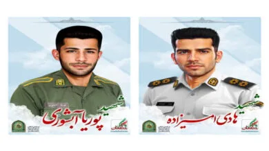 ارتباط فردا