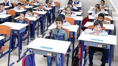 ارتباط فردا