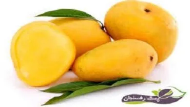 ارتباط فردا