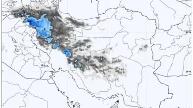 ارتباط فردا
