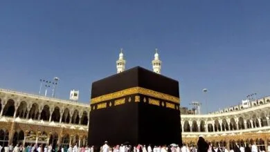 ارتباط فردا