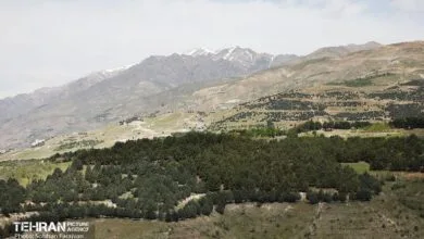 ارتباط فردا