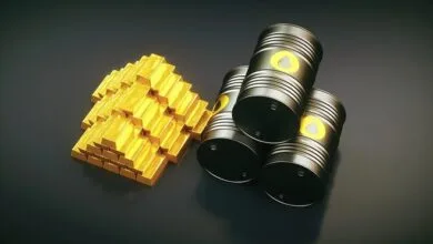 ارتباط فردا