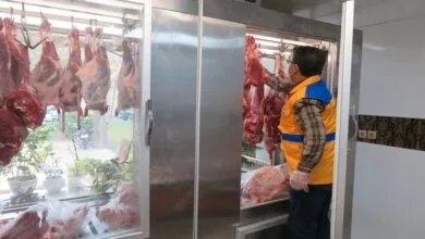 ارتباط فردا