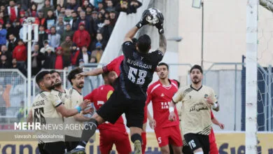 ارتباط فردا