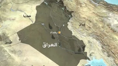 ارتباط فردا