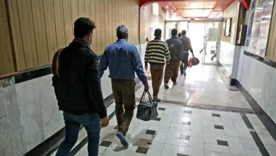 ارتباط فردا