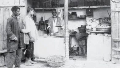 ارتباط فردا
