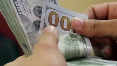 آخرین قیمت دلار، یورو و درهم در بازار ارز توافقی | دلار رشد کرد