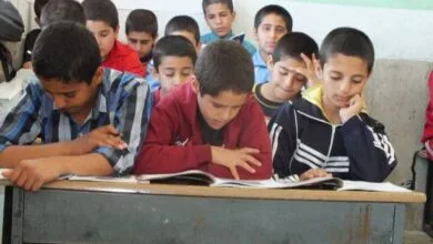ارتباط فردا