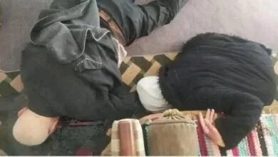 ارتباط فردا
