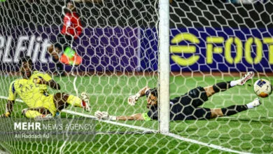 ارتباط فردا