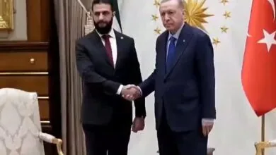 ارتباط فردا