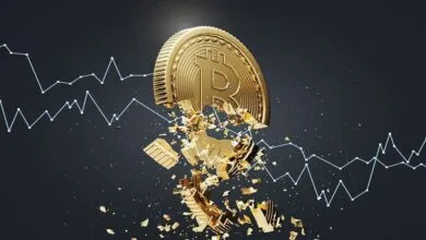 ارتباط فردا