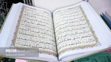 ارتباط فردا