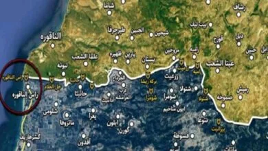 ارتباط فردا