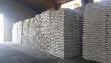 ارتباط فردا