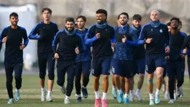 ارتباط فردا