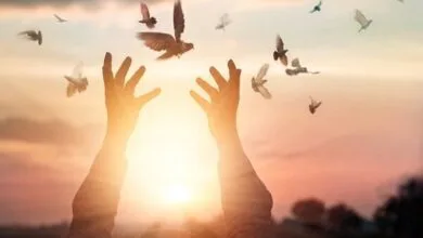 آزادی ۱۶ زندانی به مناسبت ماه رمضان در بوئین‌زهرا