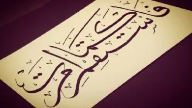 ارتباط فردا