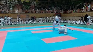 ارتباط فردا