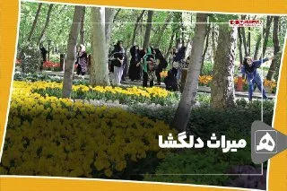 ارتباط فردا