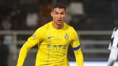 ارتباط فردا