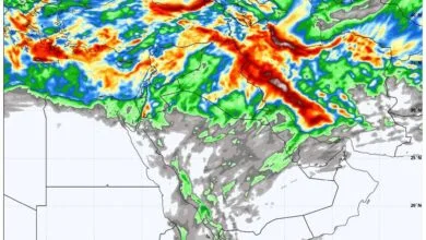 ارتباط فردا