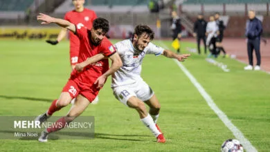 ارتباط فردا