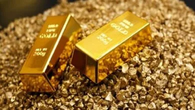 ارتباط فردا