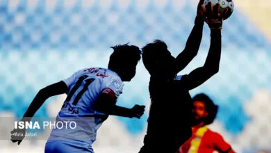 ارتباط فردا