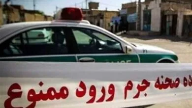ارتباط فردا