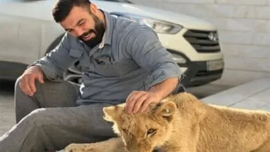 ارتباط فردا