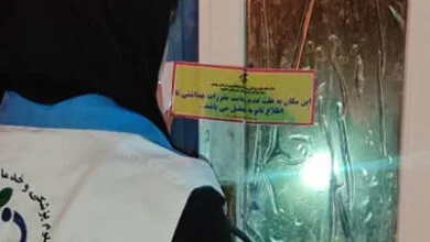 ارتباط فردا
