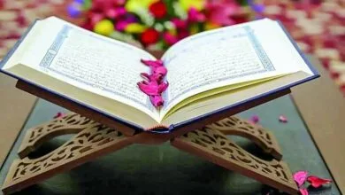 ارتباط فردا