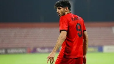 ارتباط فردا