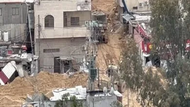 ارتباط فردا