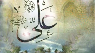 ارتباط فردا