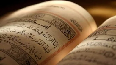 ارتباط فردا