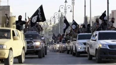 ارتباط فردا