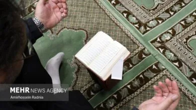 ارتباط فردا