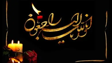 ارتباط فردا