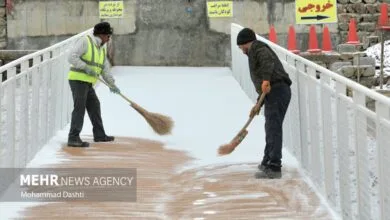 بارش رقصان برف بهاری در اردبیل؛ سفیدی پاکبازانه در نوروز