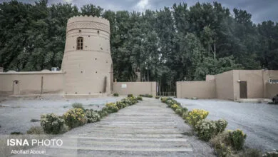 ارتباط فردا